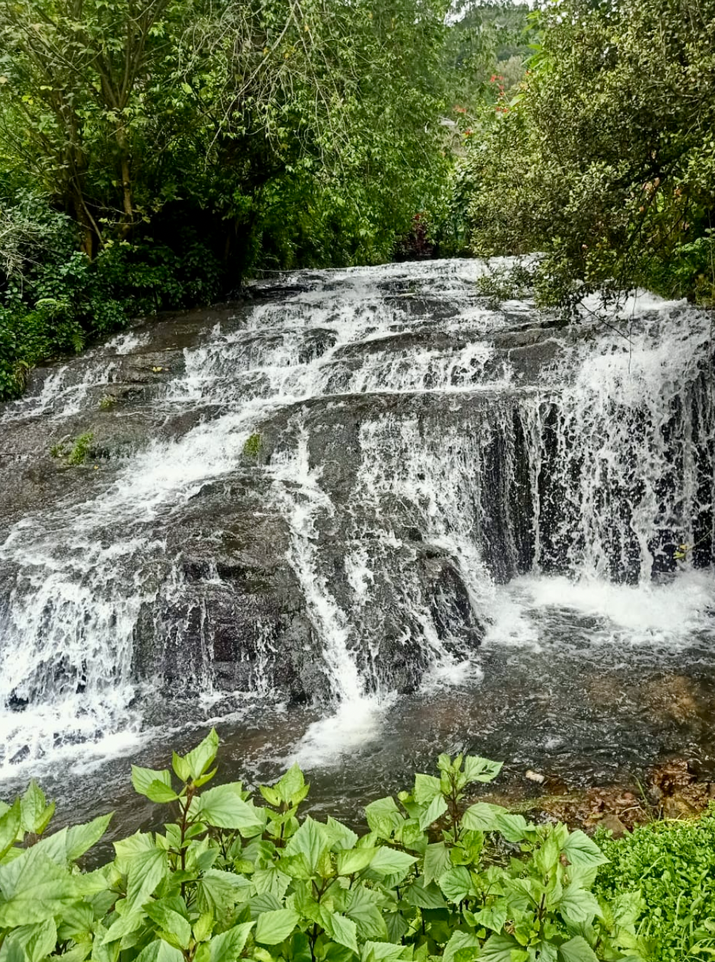 Catherine Falls