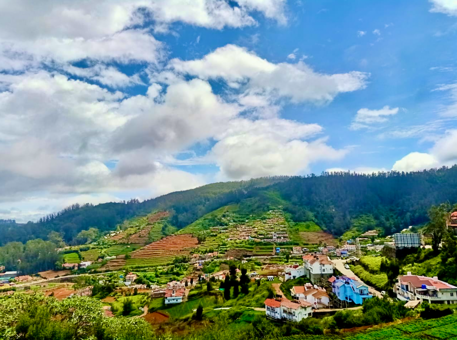 Ooty